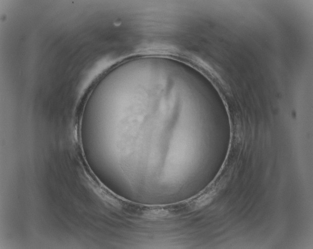 X0000064041462200601301136