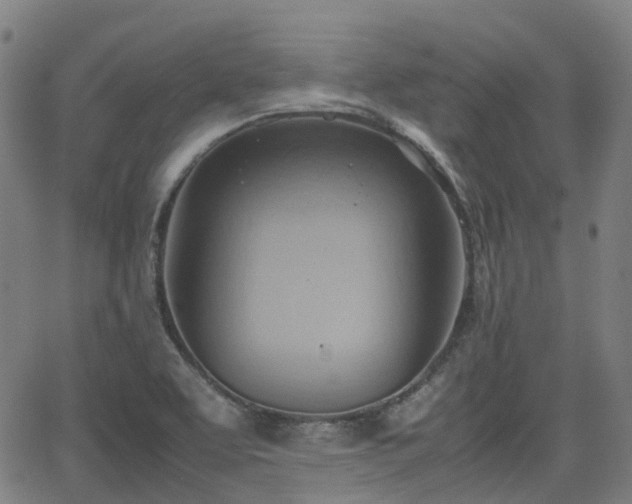 X0000064041463200601301136