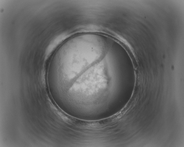 X0000064041464200601301136