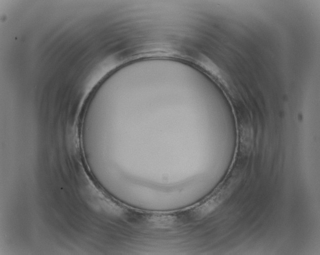 X0000064041466200601301136