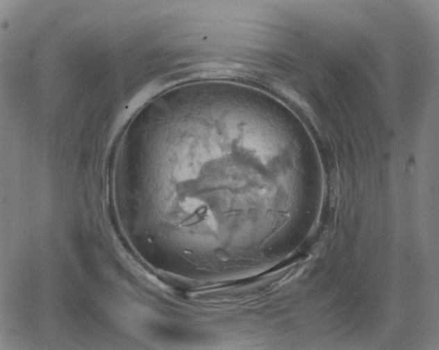 X0000064041467200601301136