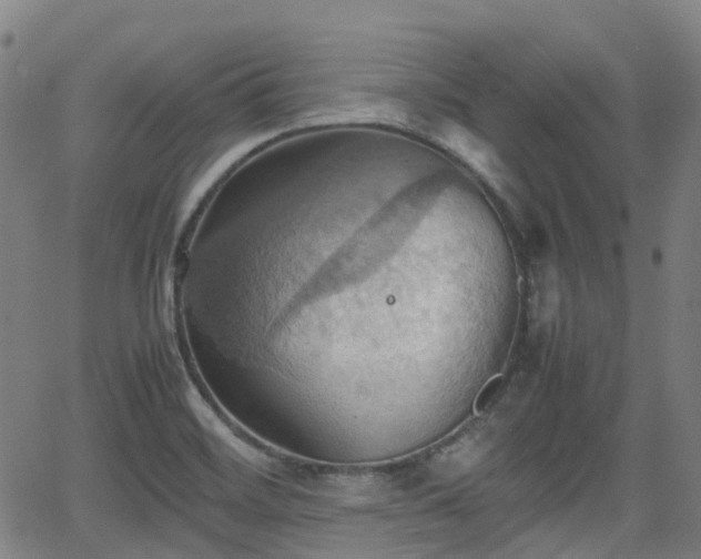 X0000064041468200601301136