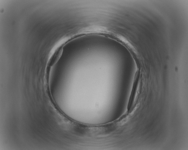 X0000064041469200601301136