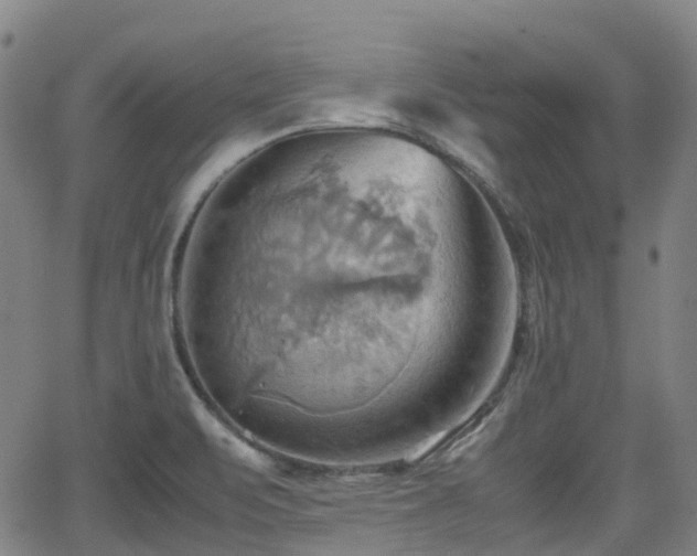 X0000064041471200601301136