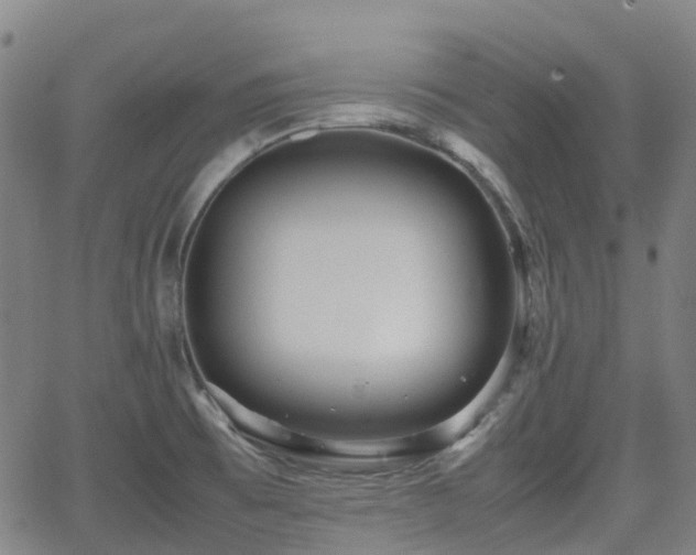 X0000064041473200601301136