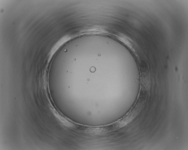 X0000064041474200601301136