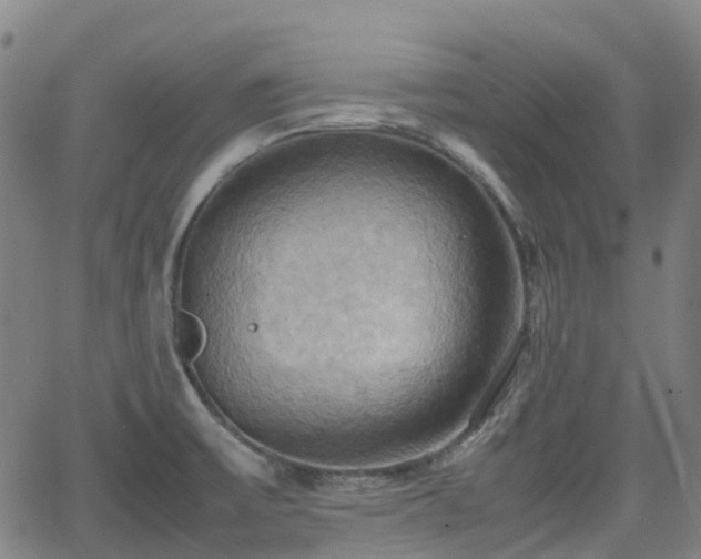 X0000064041475200601301136