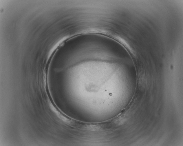 X0000064041476200601301136