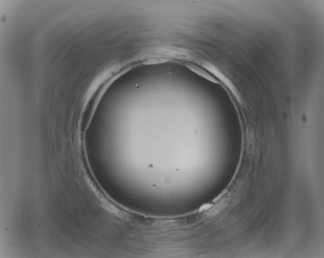 X0000064041477200601301136