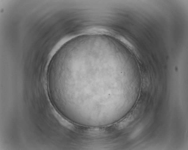 X0000064041478200601301136