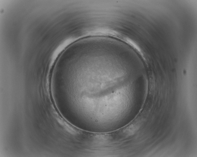 X0000064041480200601301136