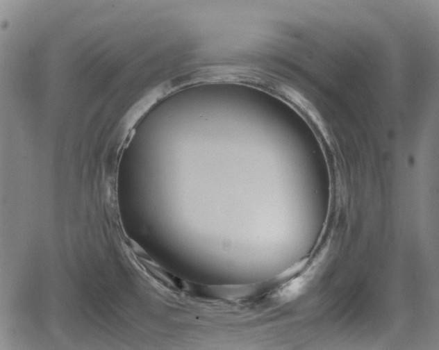 X0000064041481200601301136