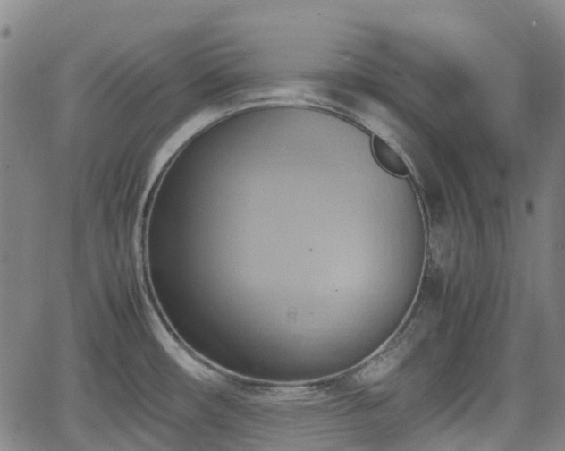 X0000064041482200601301136