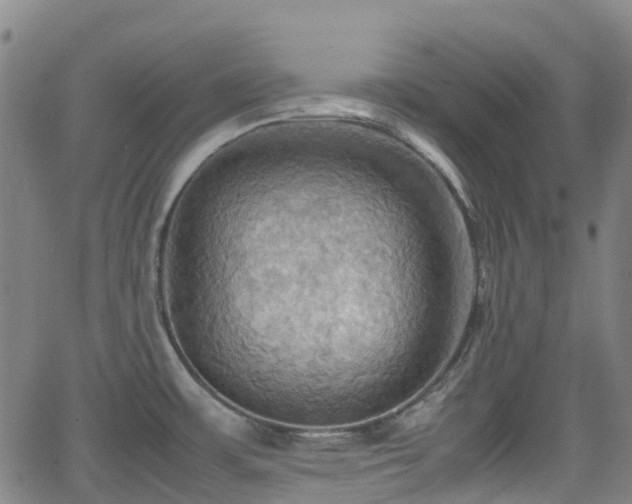 X0000064041483200601301136