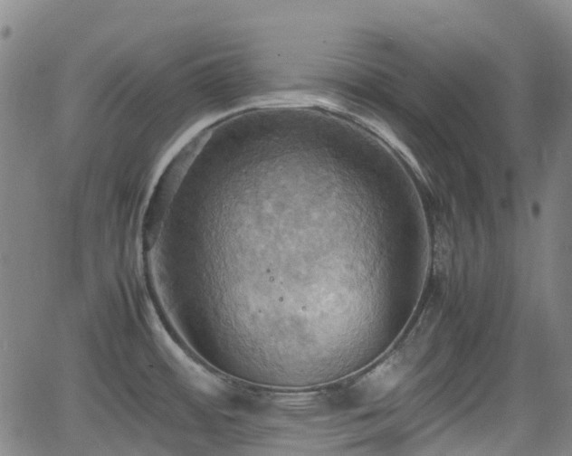 X0000064041484200601301136