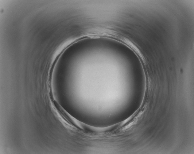 X0000064041485200601301136