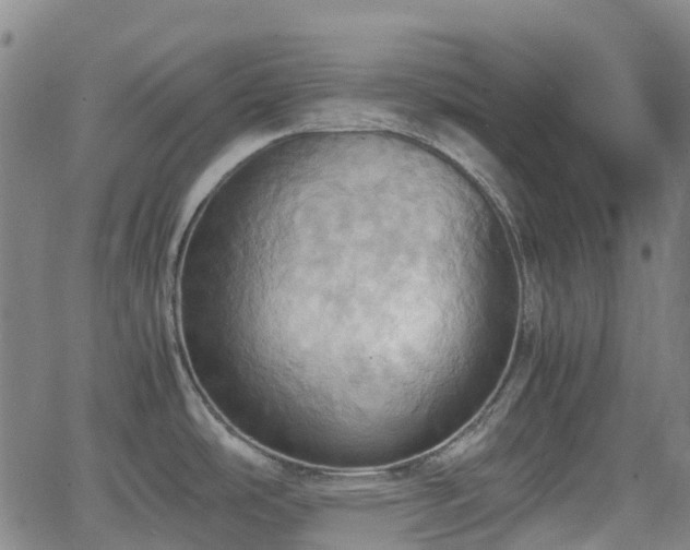 X0000064041486200601301136