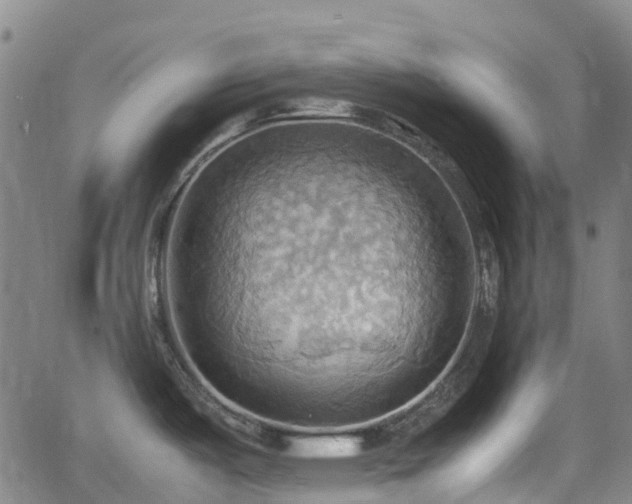 X0000064041487200601301136