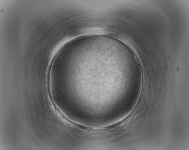 X0000064041488200601301136