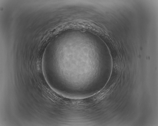 X0000064041490200601301135