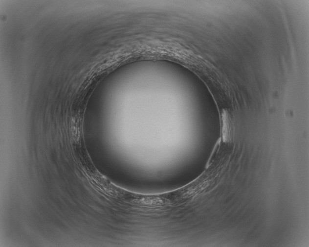 X0000064041491200601301135