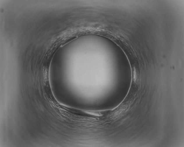 X0000064041492200601301135