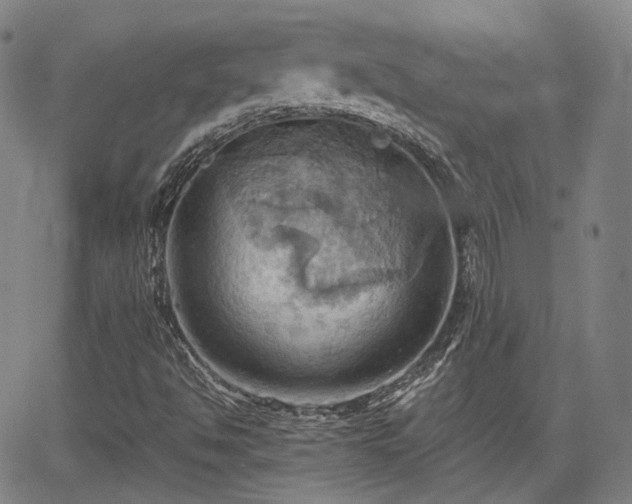 X0000064041494200601301135