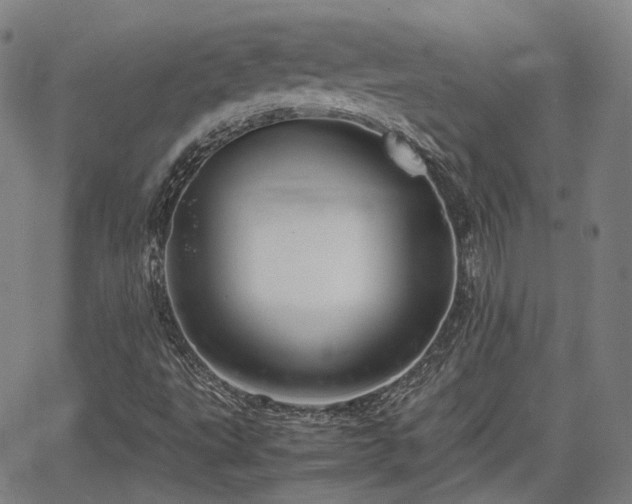 X0000064041495200601301135