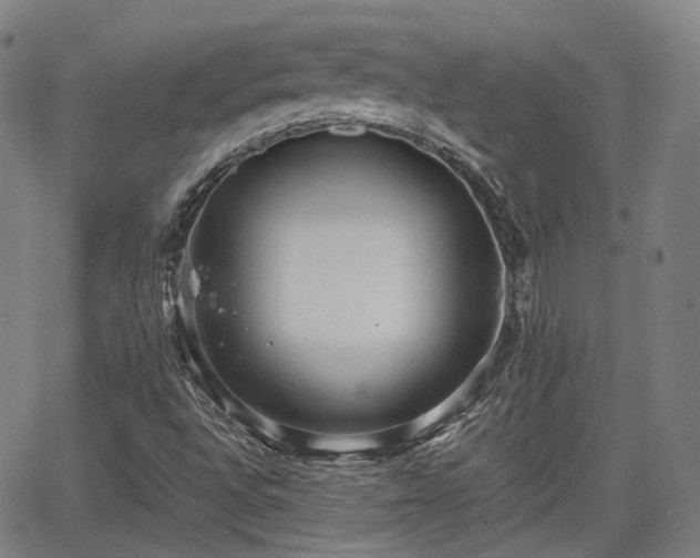 X0000064041496200601301135