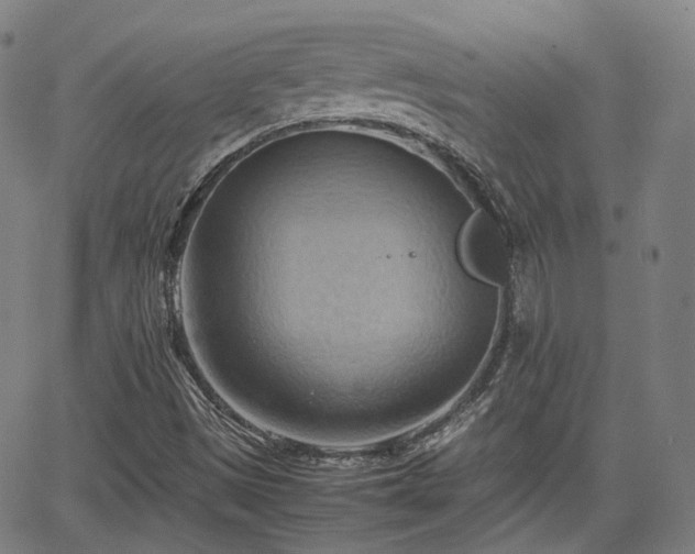 X0000064041497200601301135