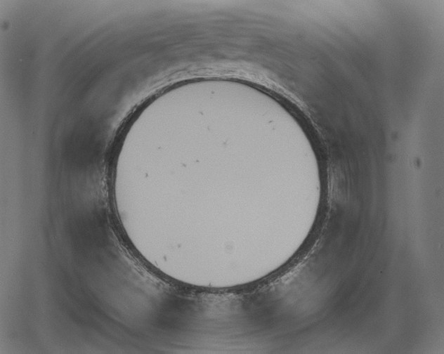 X0000064041498200601301135