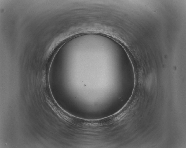 X0000064041499200601301135