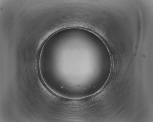 X0000064041500200601301135