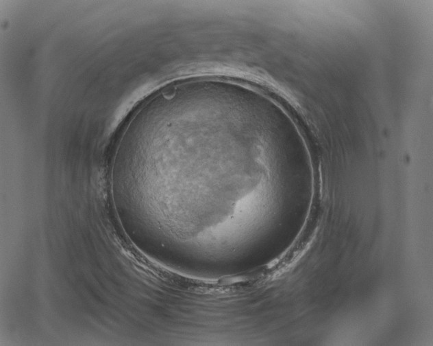 X0000064041501200601301135