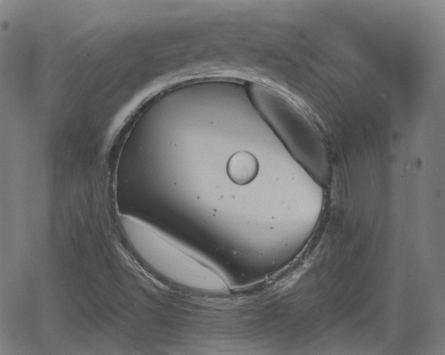 X0000064041502200601301135