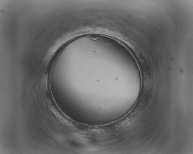 X0000064041503200601301135