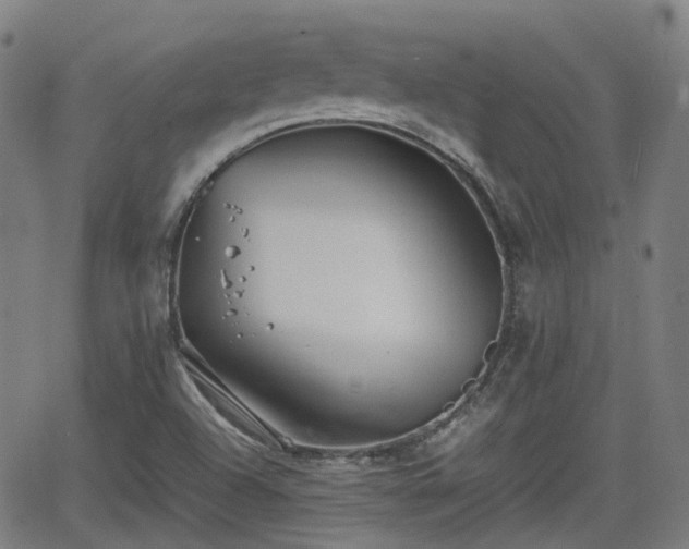 X0000064041504200601301135