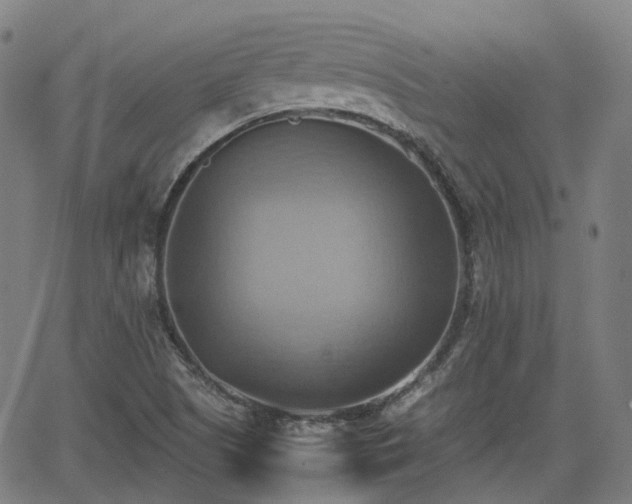 X0000064041505200601301135