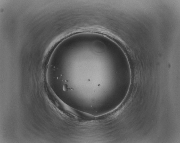 X0000064041506200601301135