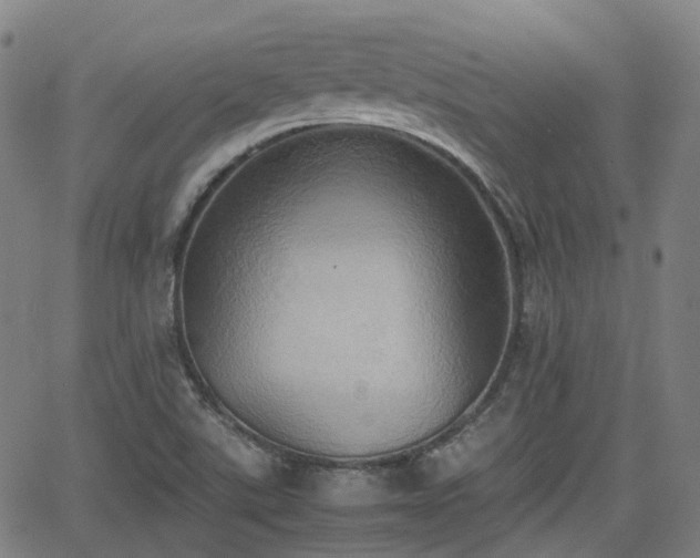 X0000064041507200601301135