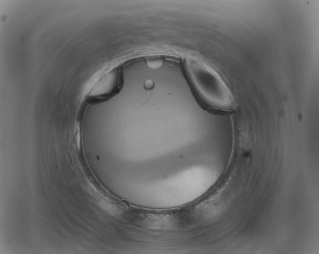 X0000064041509200601301135