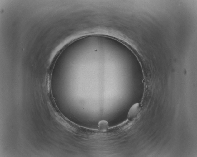 X0000064041510200601301135