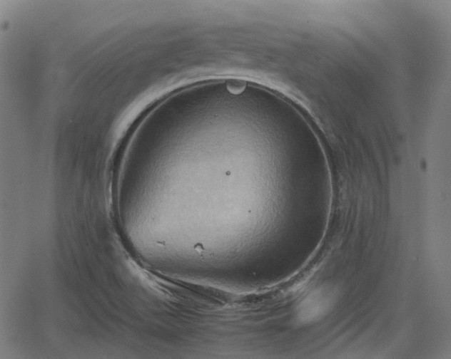 X0000064041511200601301135