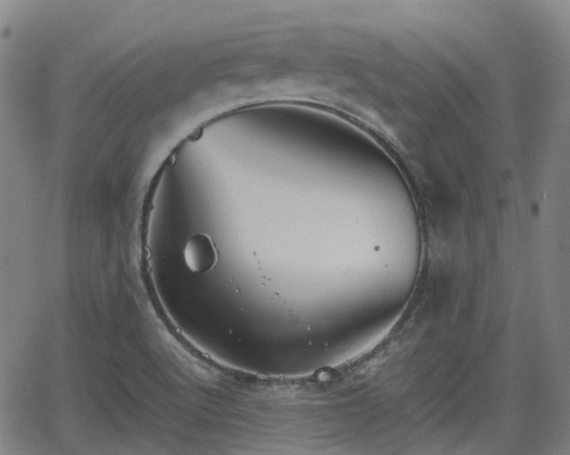 X0000064041512200601301135