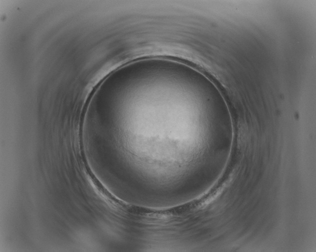 X0000064041513200601301135