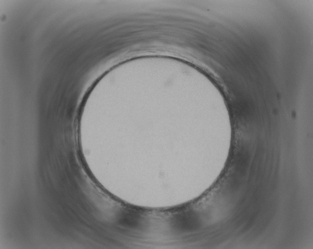 X0000064041514200601301135