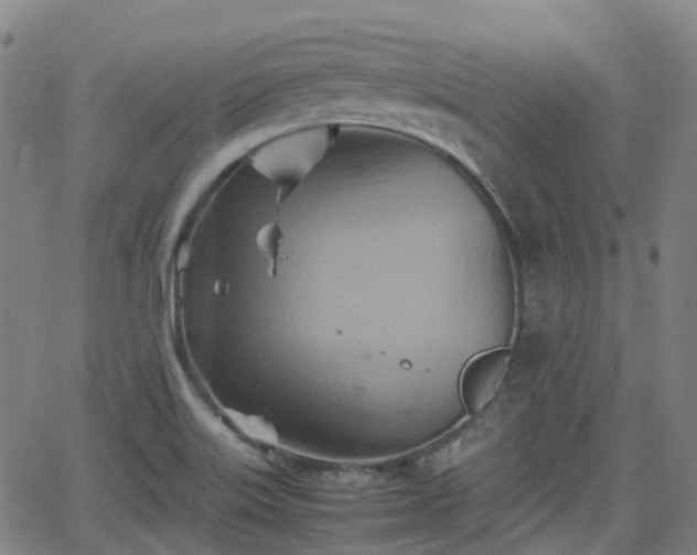 X0000064041515200601301135