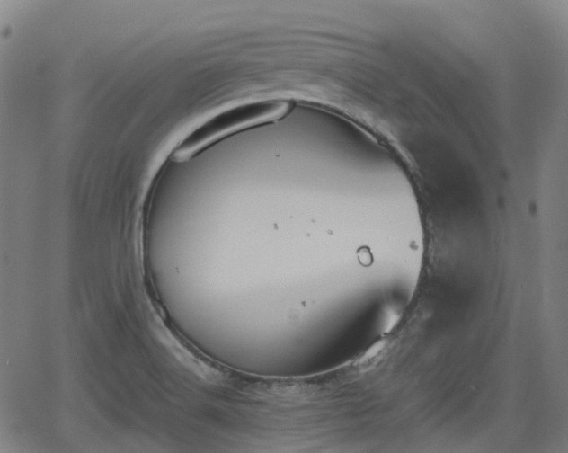 X0000064041516200601301135