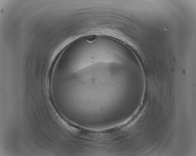 X0000064041517200601301135