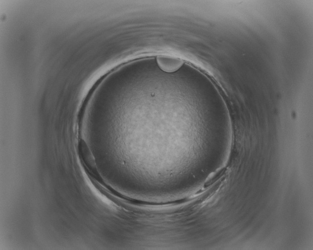 X0000064041519200601301136